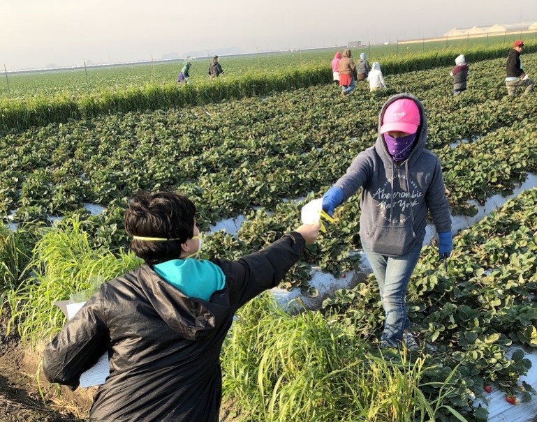 ag workers